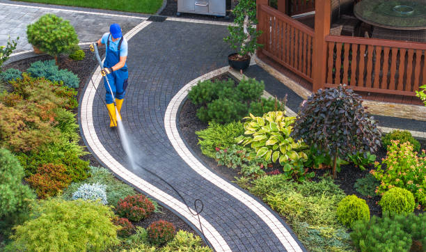 Best Local Pressure Washing Services  in USA